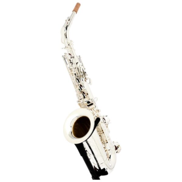 Thomann ALBSS Custom Line Alto Sax