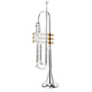 Kühnl & Hoyer Spirit MAW Bb-Trumpet silver